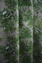 two in a bush fabric, timorous beasties, fabric, - adorn.house