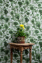 coral blotch cork wallpaper, timorous beasties, wallpaper, - adorn.house