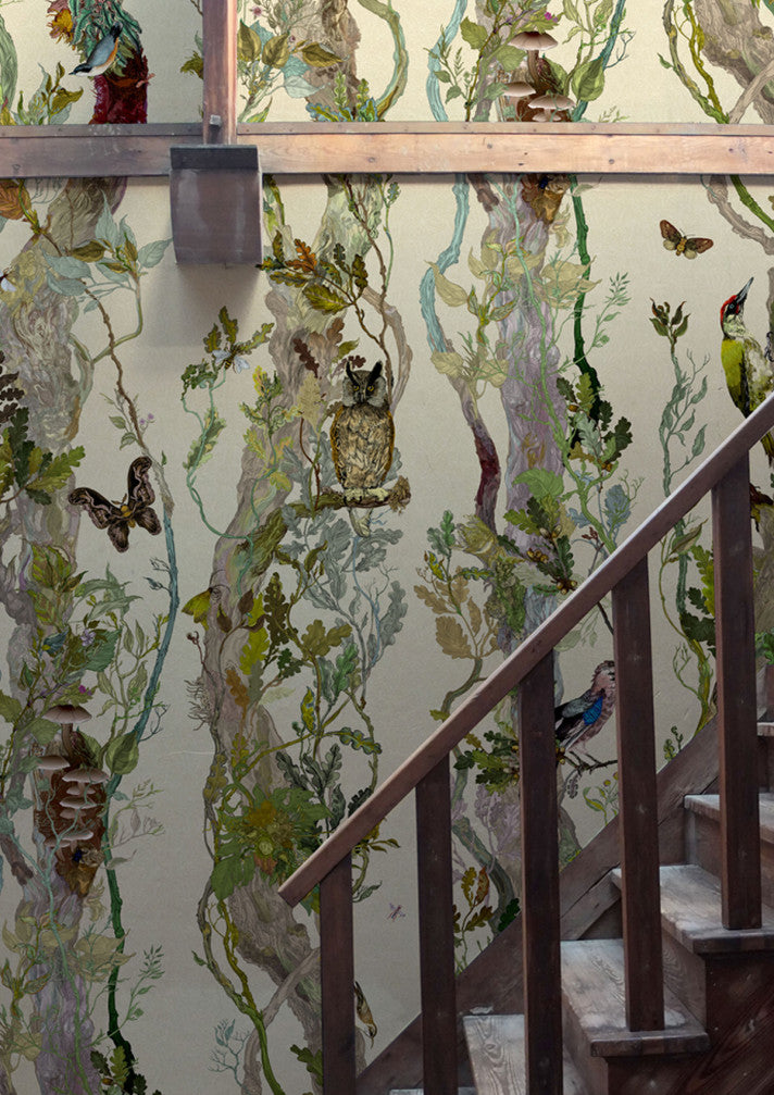 indie wood wallpaper by timorous beasties on adorn.house