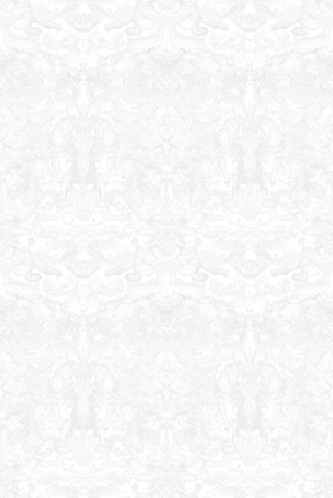 roller blotch wallpaper by timorous beasties on adorn.house