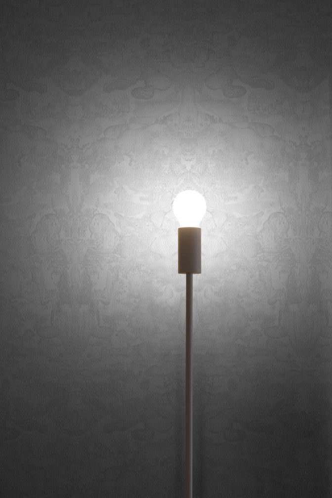 roller blotch wallpaper by timorous beasties on adorn.house