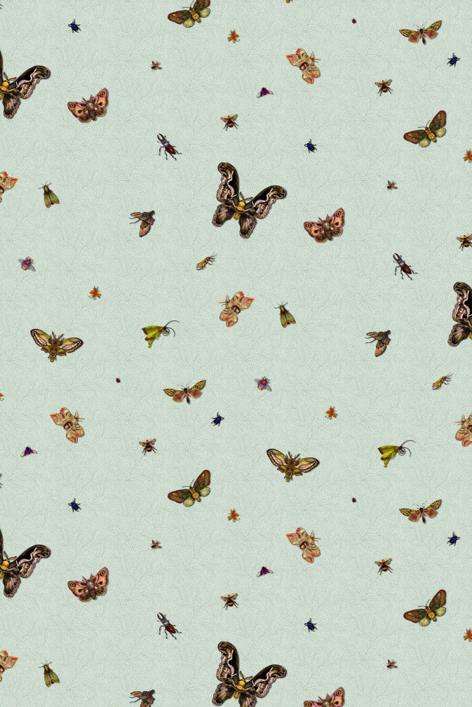 nightcrawlers wallpaper by timorous beasties on adorn.house