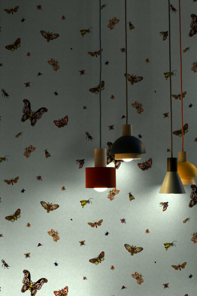 nightcrawlers wallpaper by timorous beasties on adorn.house