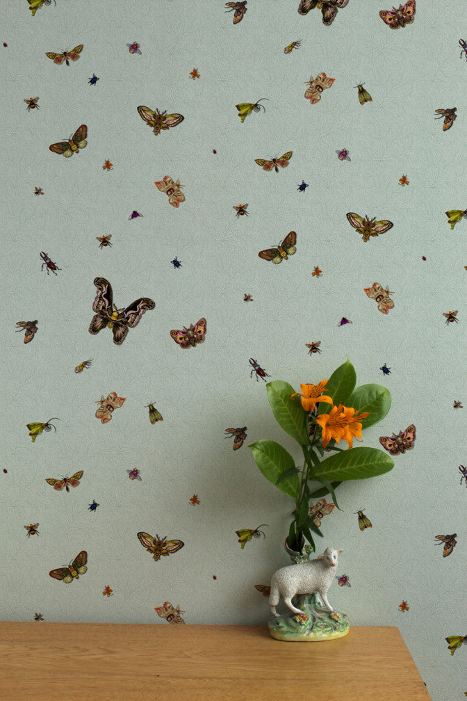 nightcrawlers wallpaper by timorous beasties on adorn.house