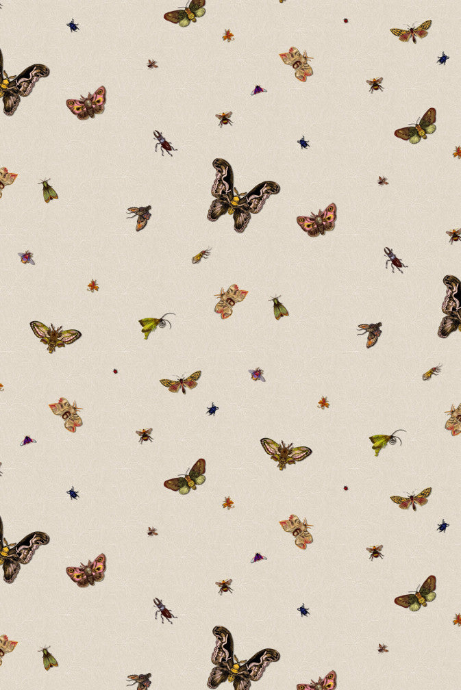 nightcrawlers wallpaper by timorous beasties on adorn.house