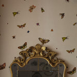 nightcrawlers wallpaper by timorous beasties on adorn.house