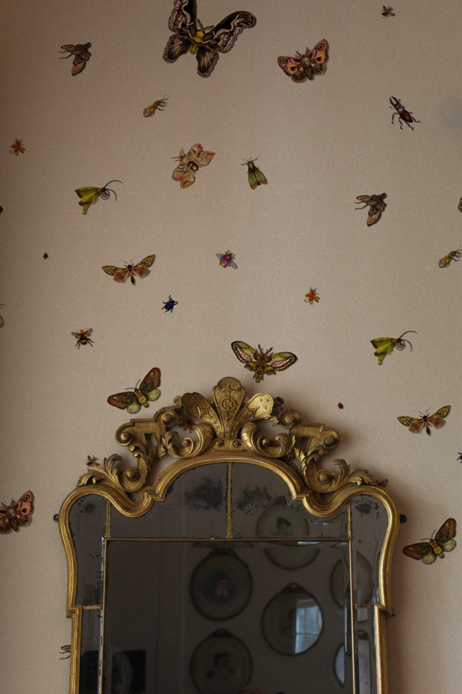 nightcrawlers wallpaper by timorous beasties on adorn.house