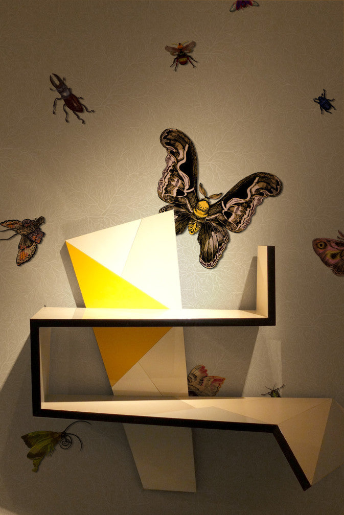 nightcrawlers wallpaper by timorous beasties on adorn.house