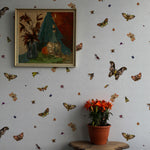 nightcrawlers wallpaper by timorous beasties on adorn.house