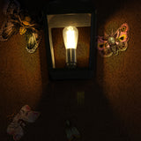 nightcrawlers wallpaper by timorous beasties on adorn.house