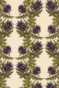 grand thistle hand print  wallpaper by timorous beasties on adorn.house