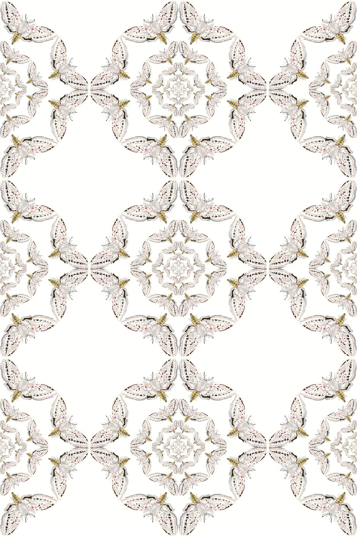 white moth circle wallpaper by timorous beasties on adorn.house