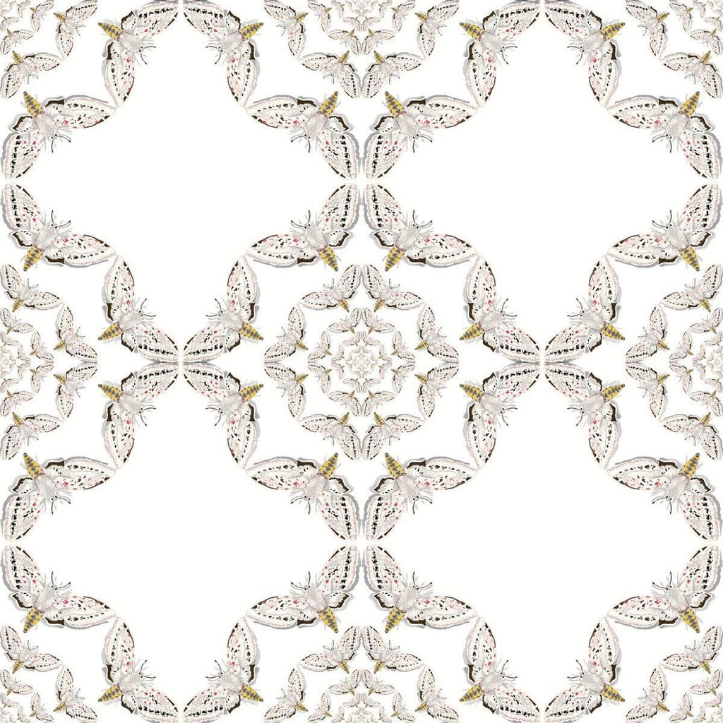 white moth circle wallpaper by timorous beasties on adorn.house