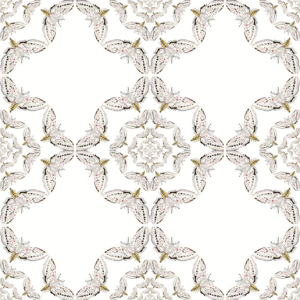 white moth circle wallpaper by timorous beasties on adorn.house