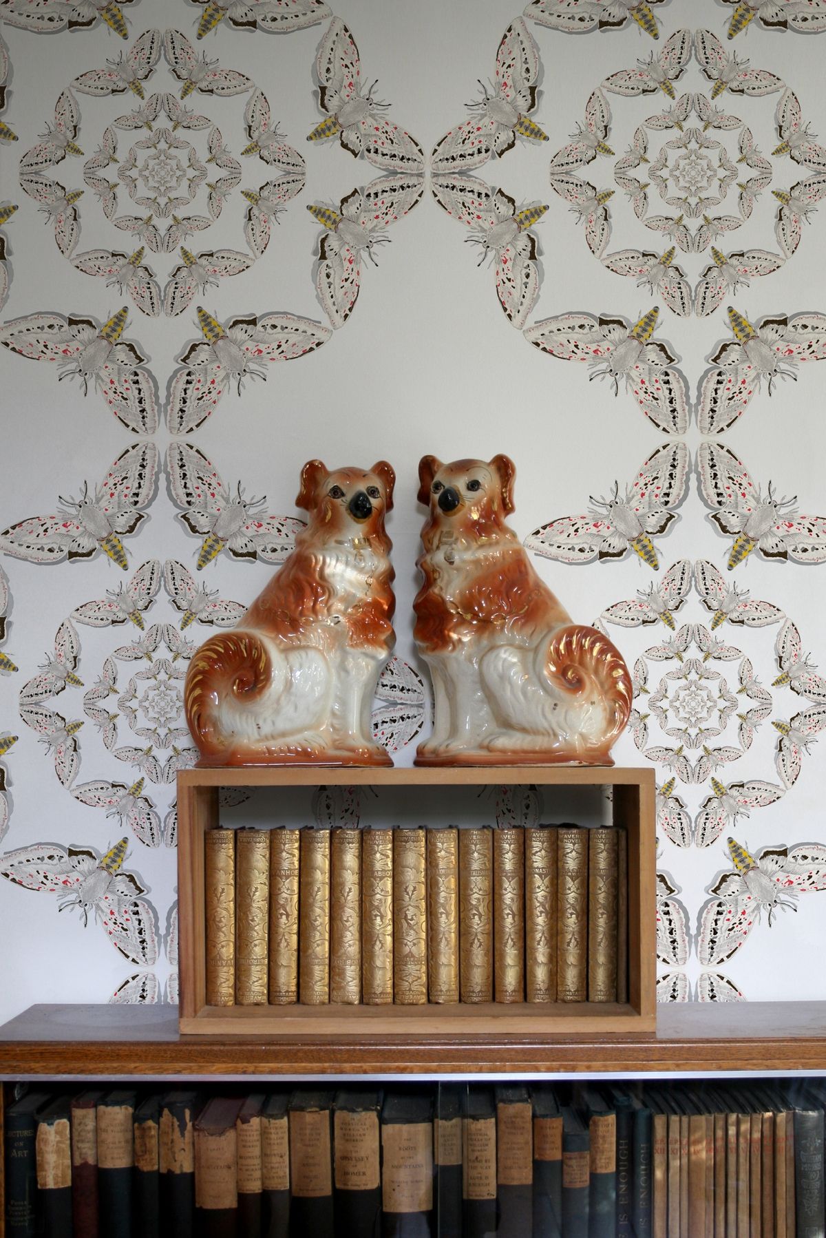 white moth circle wallpaper by timorous beasties on adorn.house