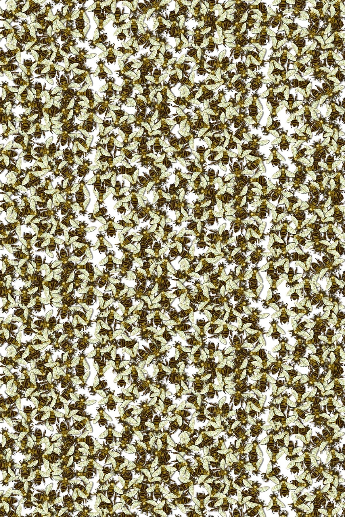 wild honey bee allover wallpaper by timorous beasties on adorn.house