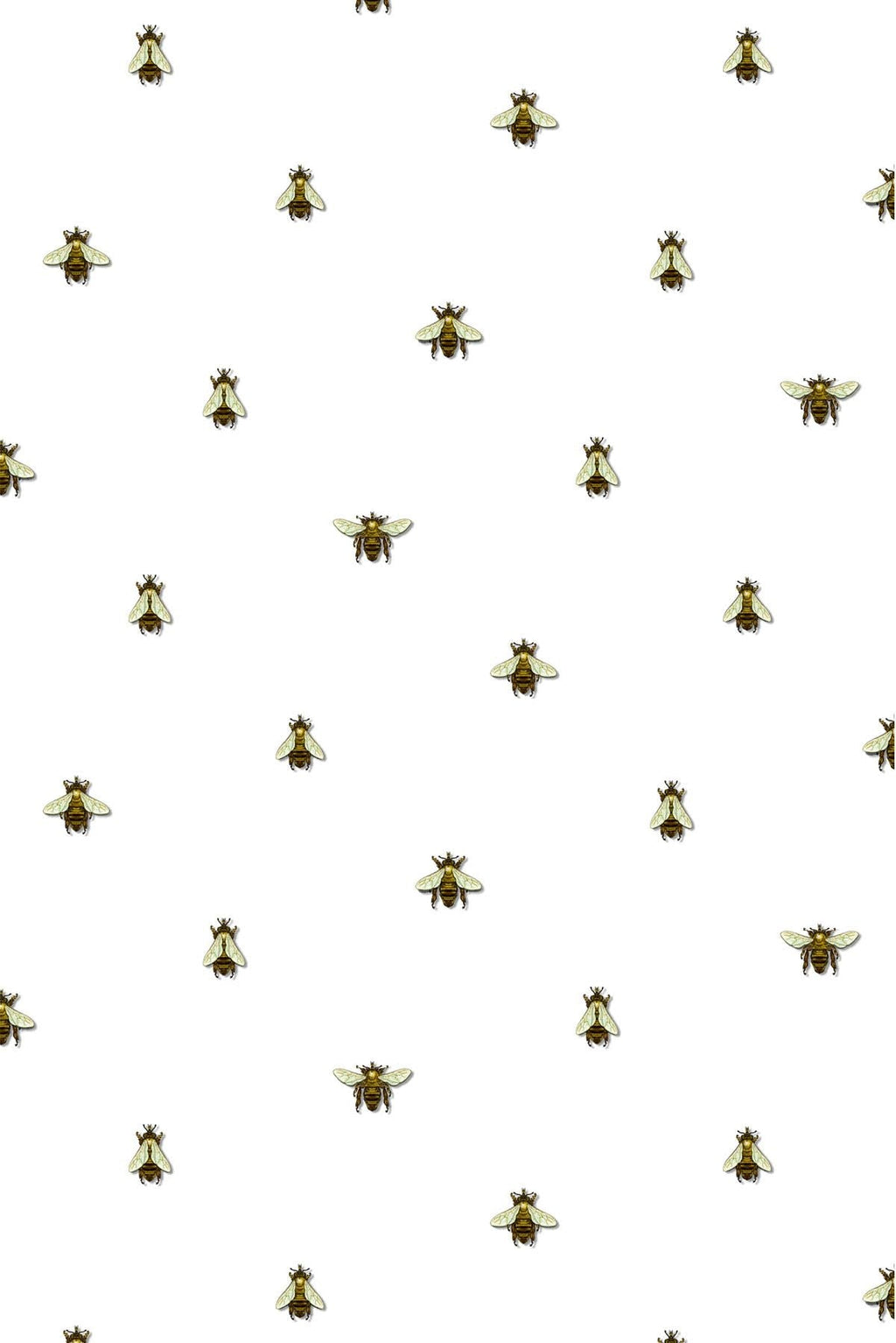 wild honey bee spot wallpaper by timorous beasties on adorn.house