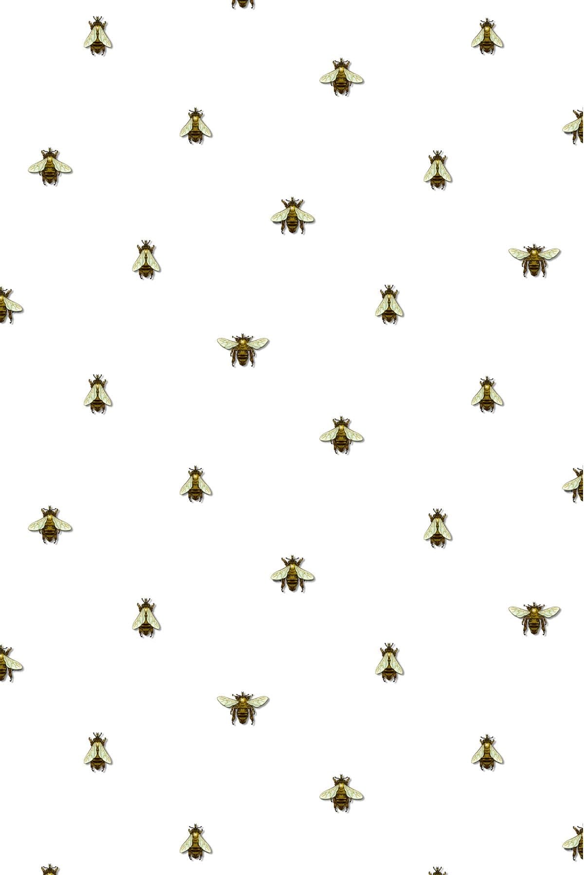wild honey bee spot wallpaper by timorous beasties on adorn.house