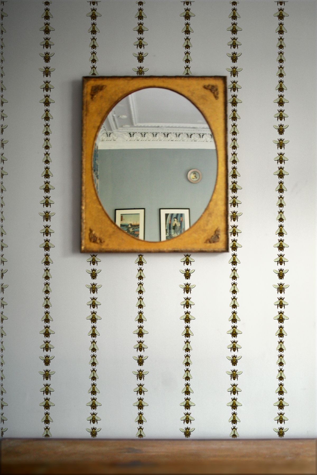 wild honey bee stripe wallpaper by timorous beasties on  adorn.house