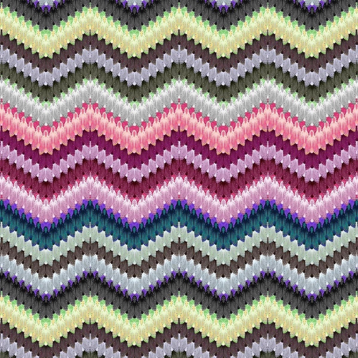 zig zag moth original wallpaper by timorous beasties on adorn.house