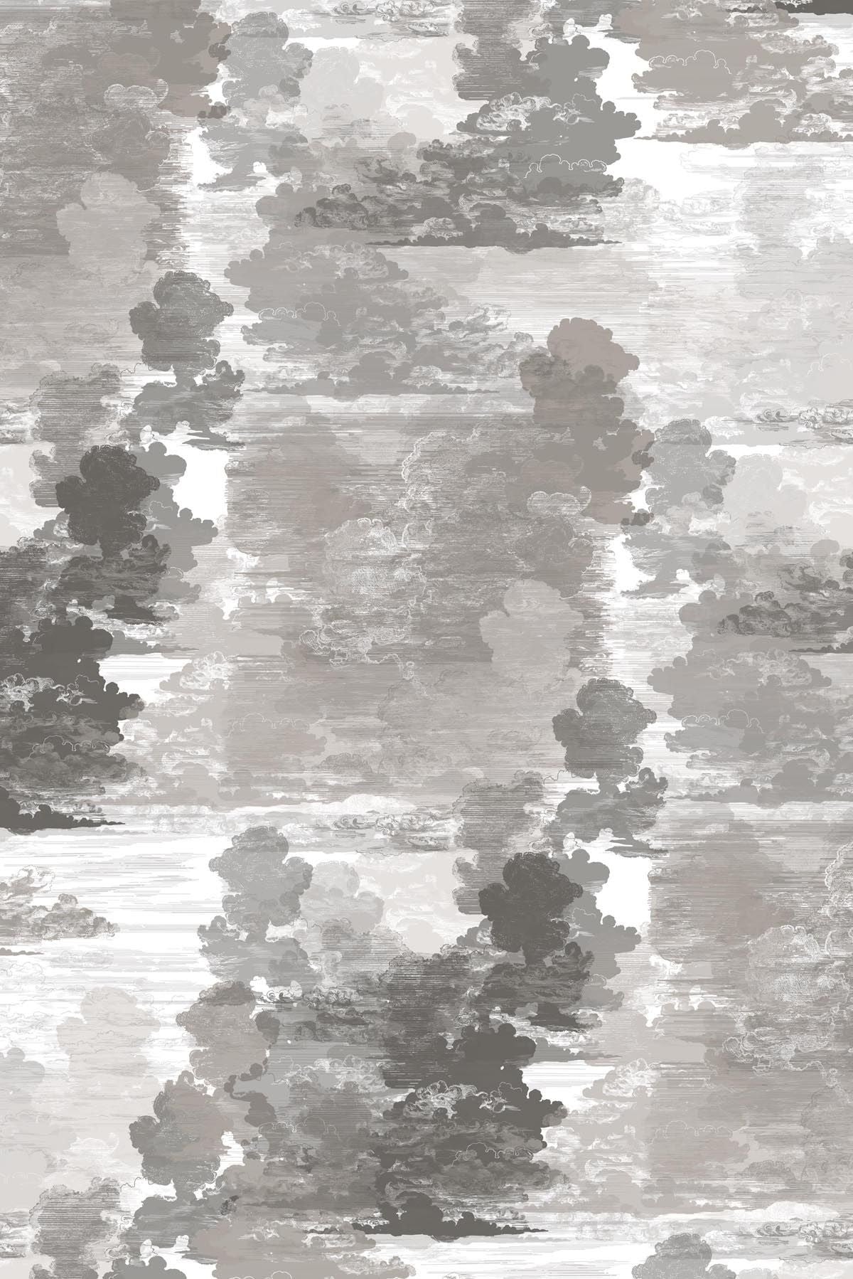 cloud toile wallpaper by timorous beasties on adorn.house