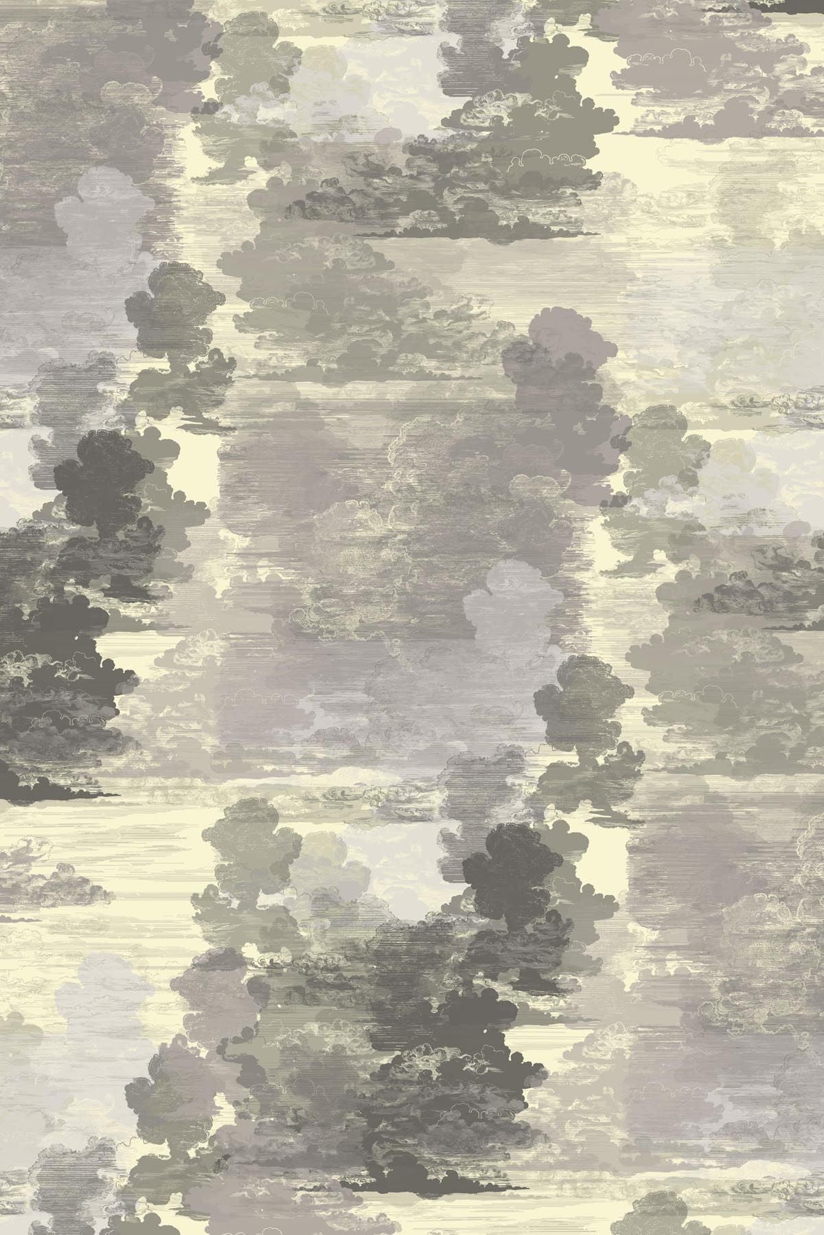 cloud toile wallpaper by timorous beasties on adorn.house