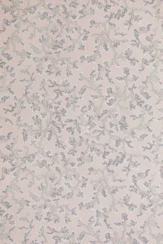 fine coral wallpaper by timorous beasties on adorn.house