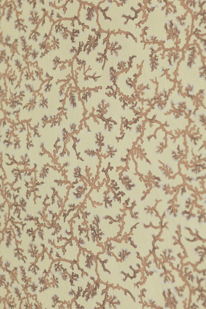 fine coral wallpaper by timorous beasties on adorn.house