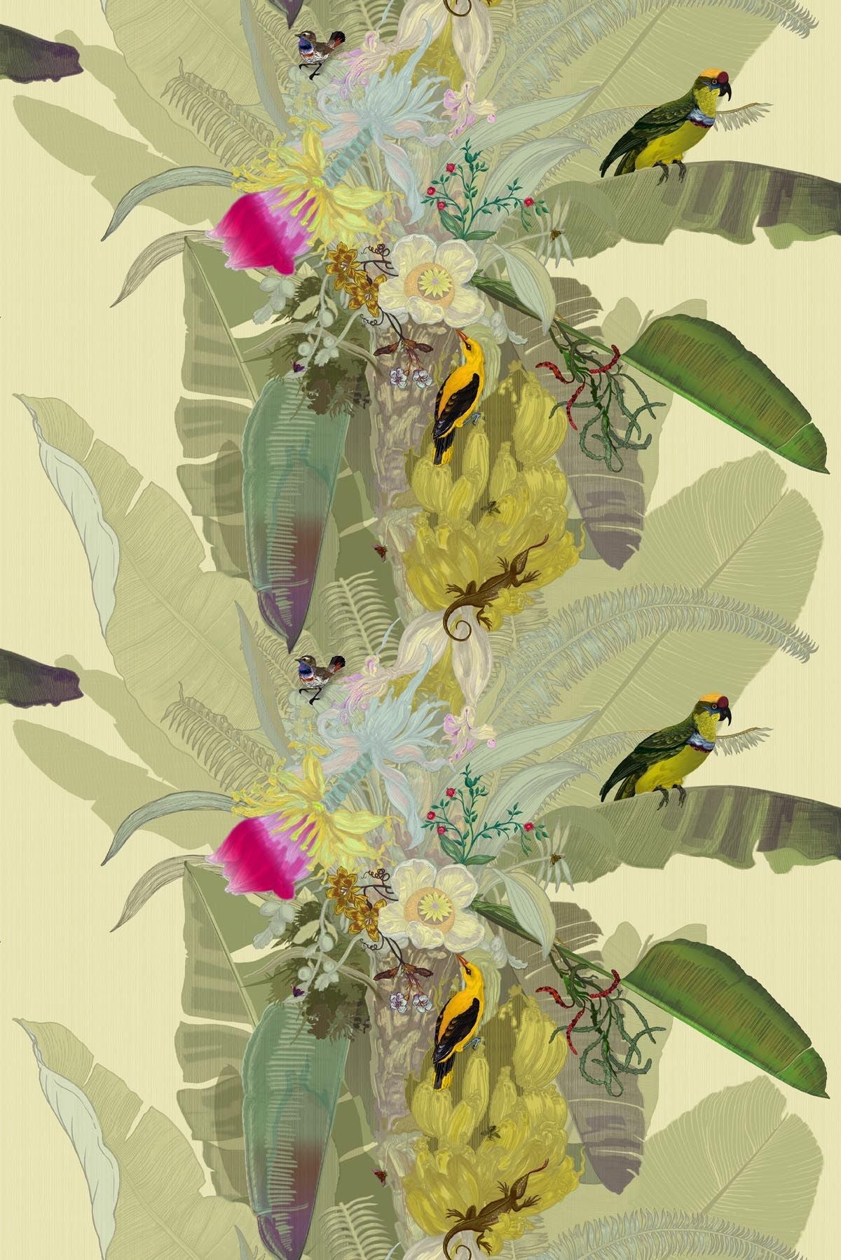 merian palm superwide wallpaper by timorous beasties on adorn.house