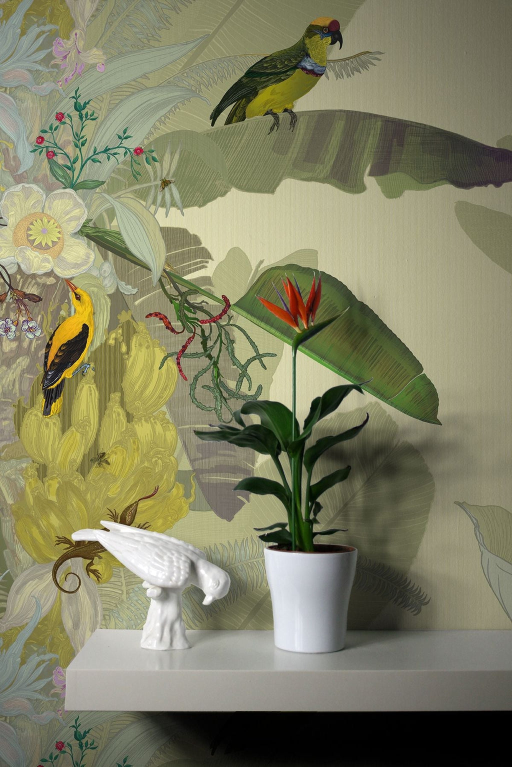 merian palm superwide wallpaper by timorous beasties on adorn.house