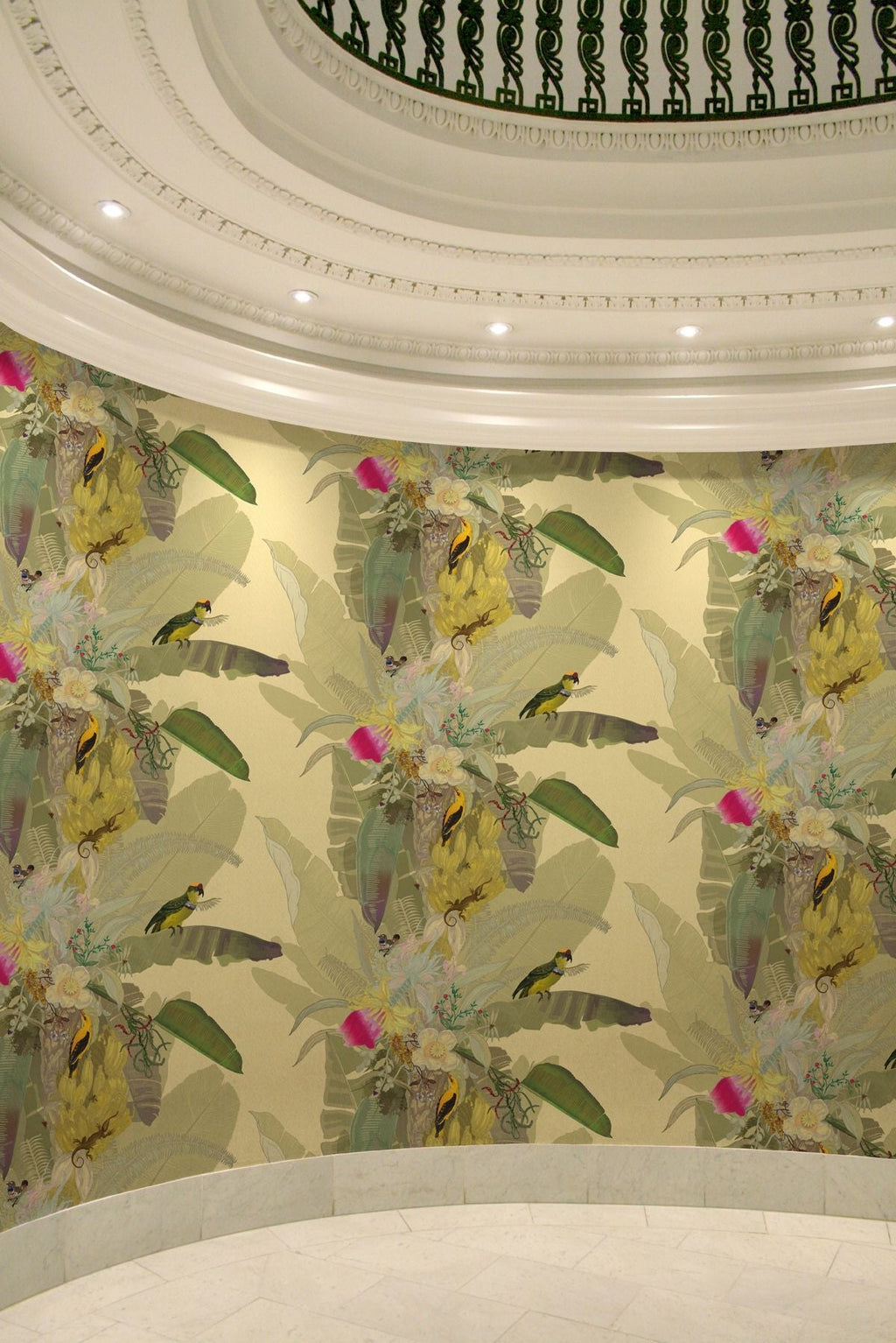 merian palm superwide wallpaper by timorous beasties on adorn.house