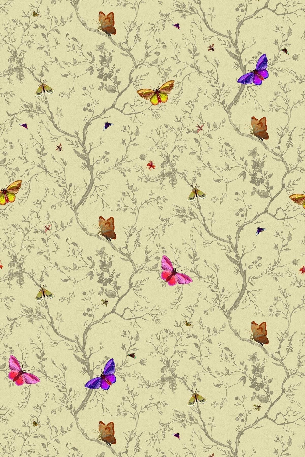 butterflies wallpaper by timorous beasties on adorn.house
