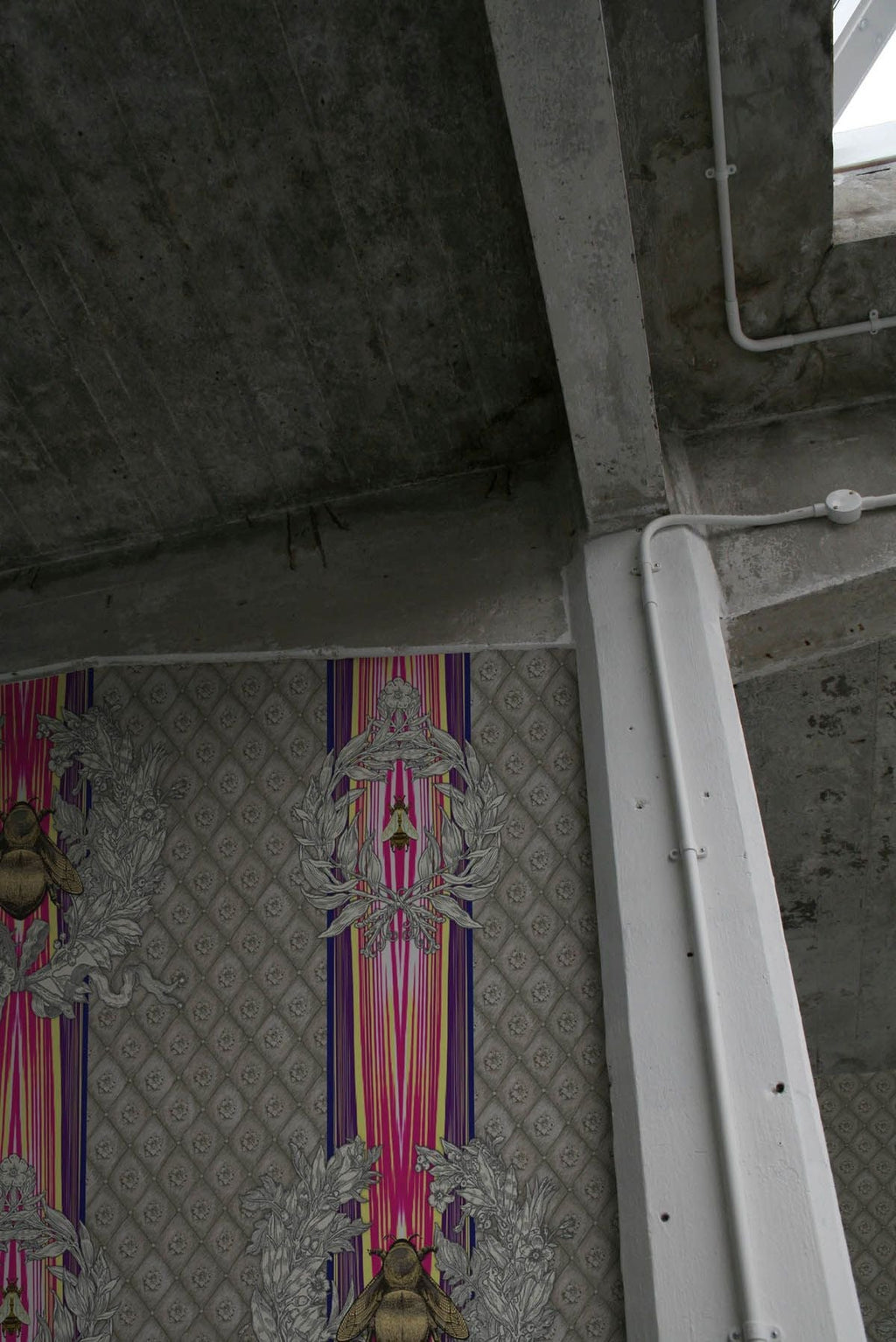 civic bee wallpaper by timorous beasties on adorn.house