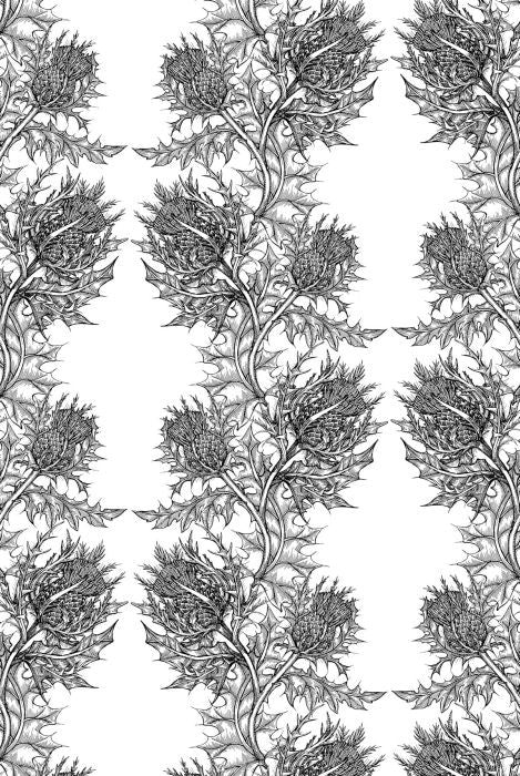 thistle wallpaper by timorous beasties on adorn.house