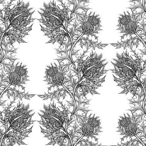 thistle wallpaper by timorous beasties on adorn.house