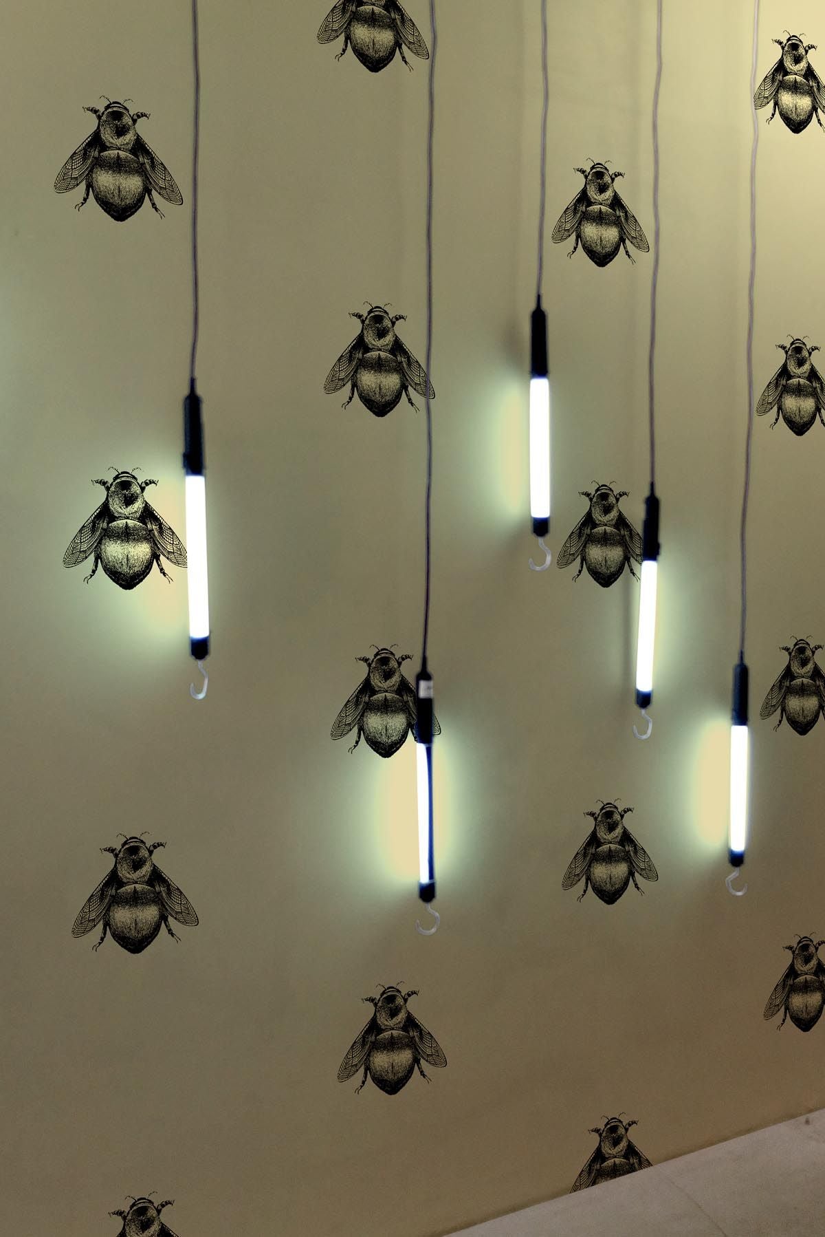 napoleon bee wallpaper by timorous beasties, wallpaper on adorn.house