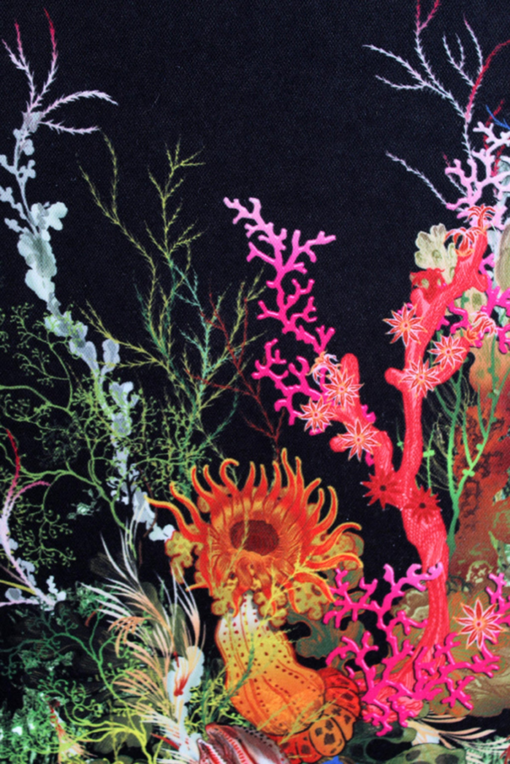 seaweed and shell wallpaper by timorous beasties on adorn.house