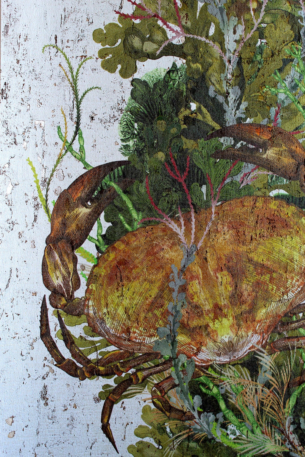 crab & lobster cork wallpaper by timorous beasties on adorn.house