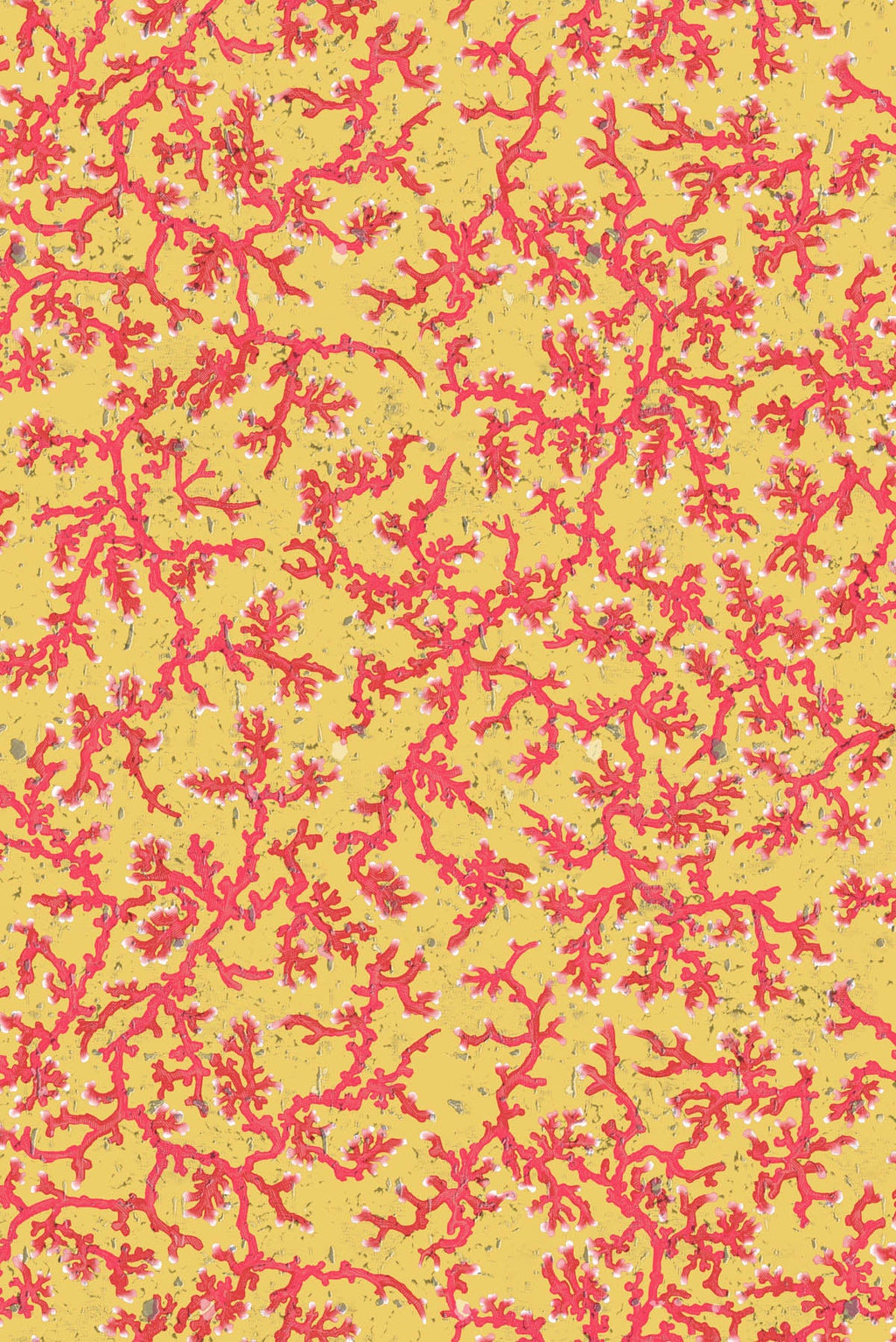 coral cork wallpaper by timorous beasties on adorn.house