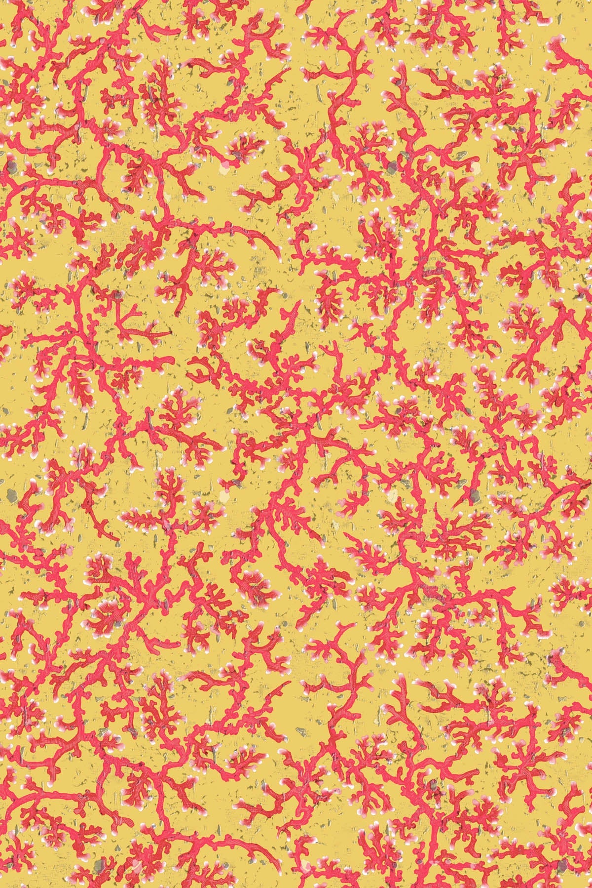 coral cork wallpaper by timorous beasties on adorn.house