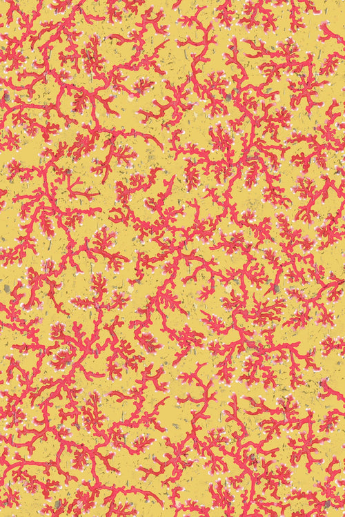 coral cork wallpaper by timorous beasties on adorn.house