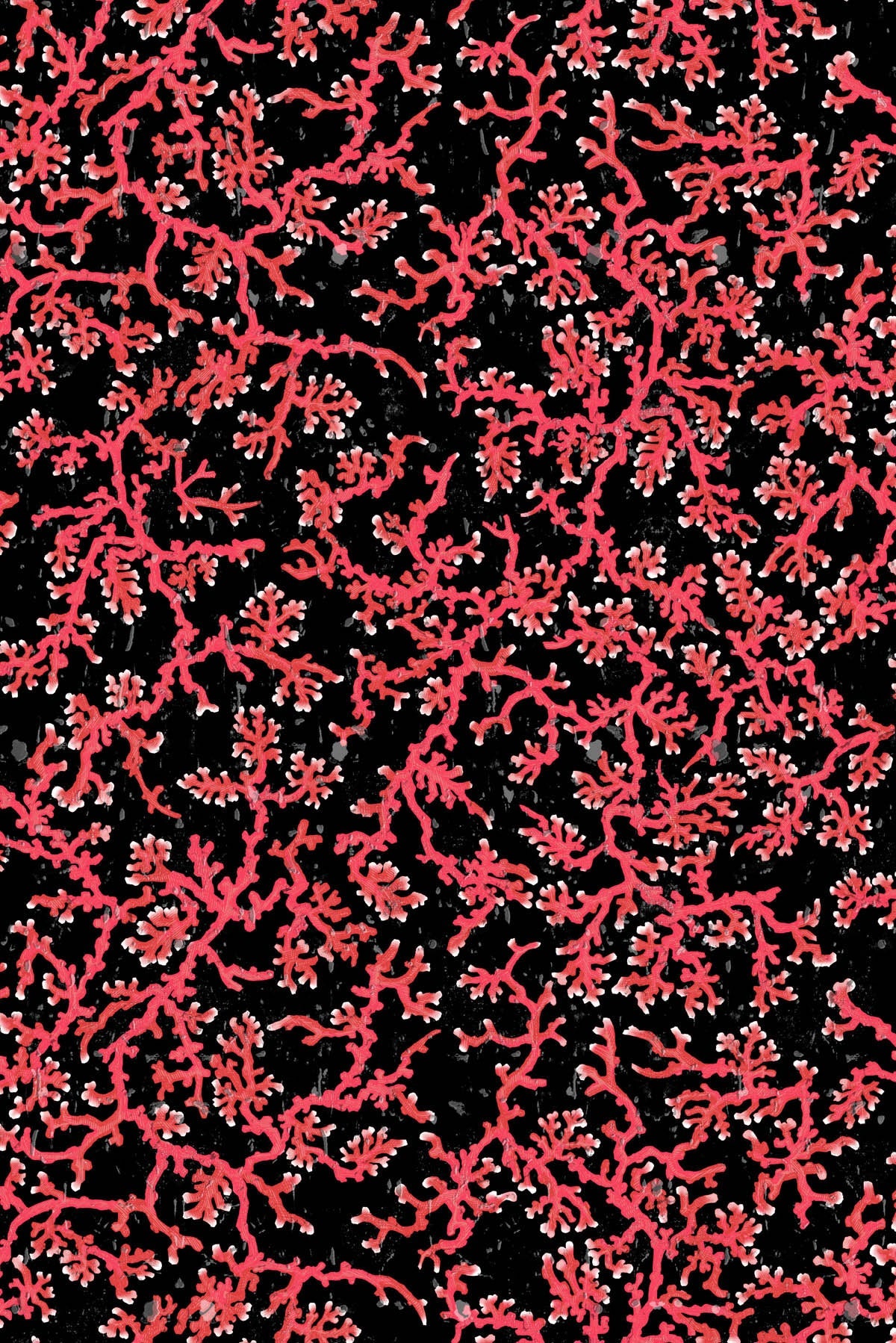 coral cork wallpaper by timorous beasties on adorn.house