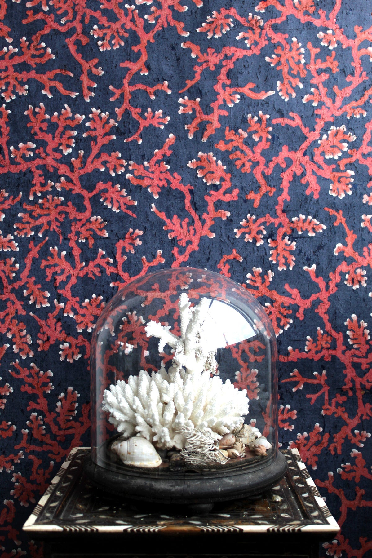 coral cork wallpaper by timorous beasties on adorn.house