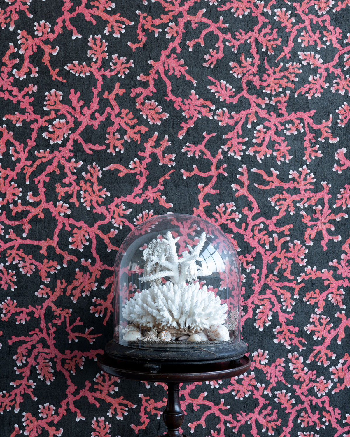 coral cork wallpaper by timorous beasties on adorn.house