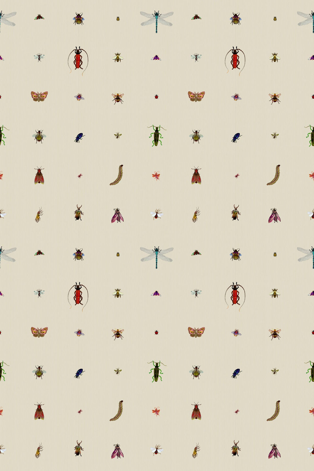 insect grid wallpaper by timorous beasties on adorn.house