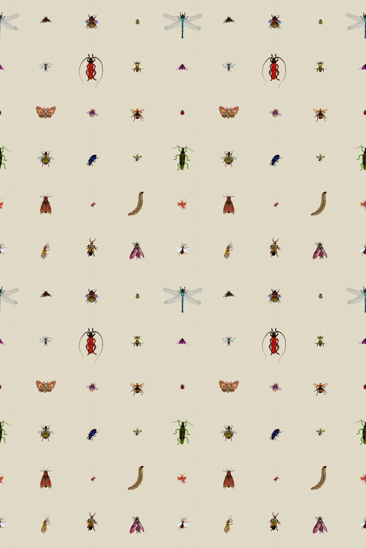 insect grid wallpaper by timorous beasties on adorn.house
