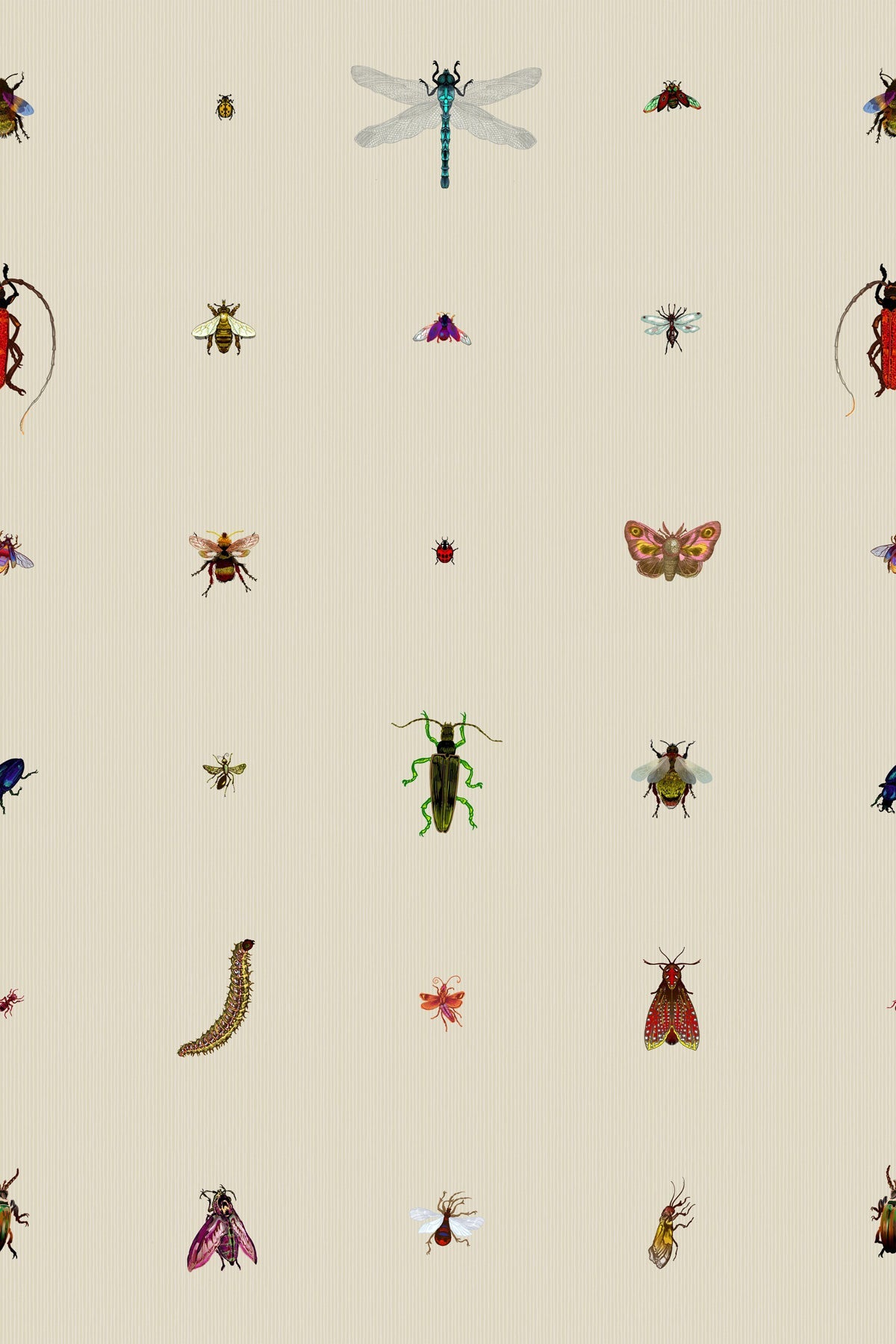 insect grid wallpaper by timorous beasties on adorn.house