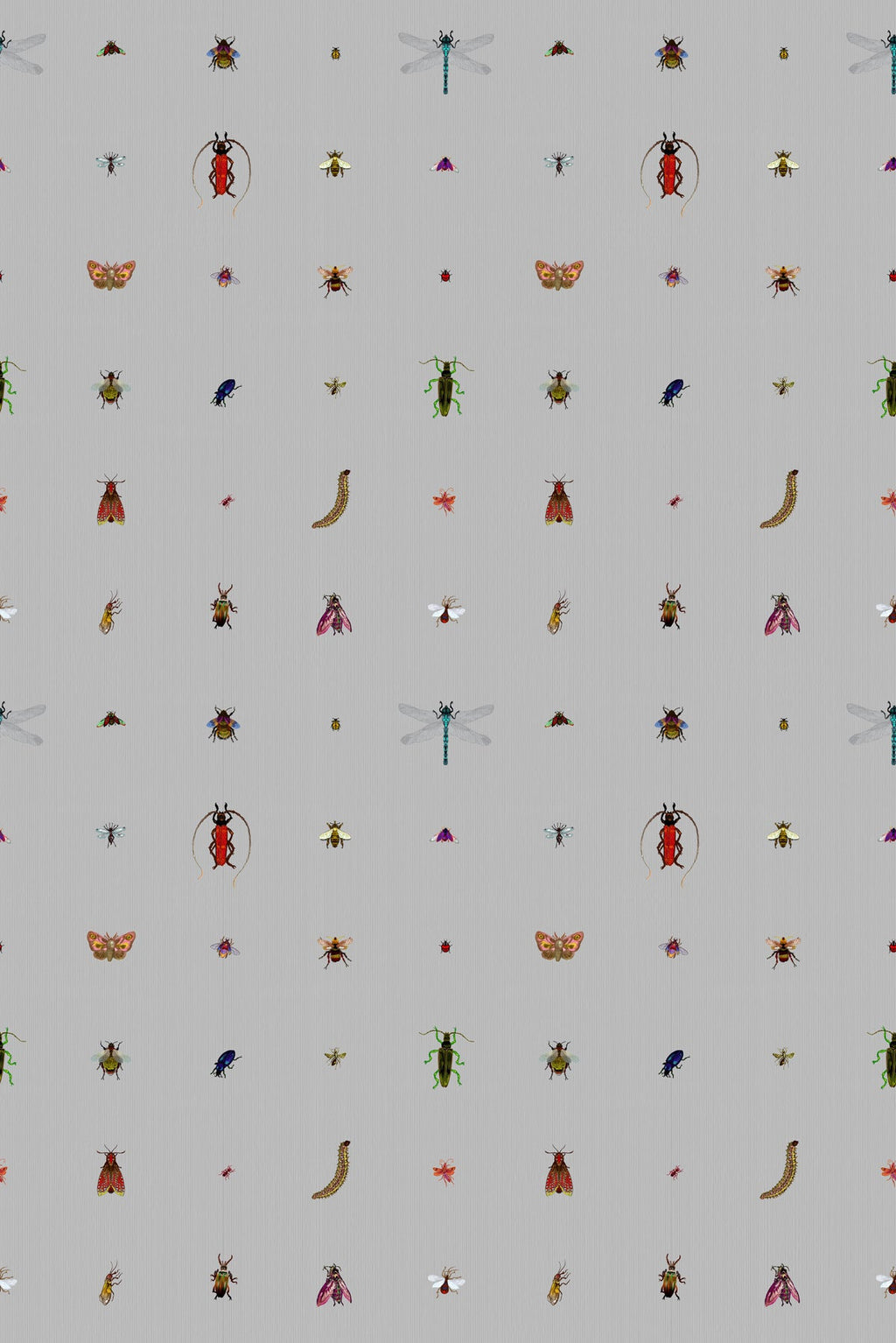 insect grid wallpaper by timorous beasties on adorn.house