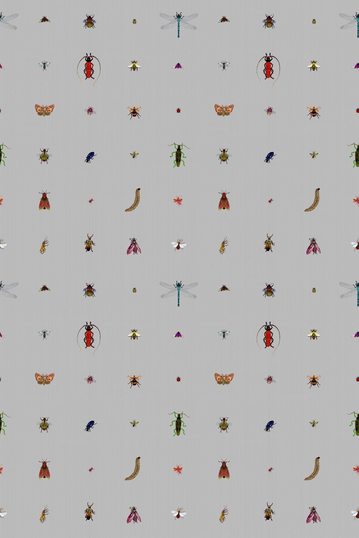 insect grid wallpaper by timorous beasties on adorn.house