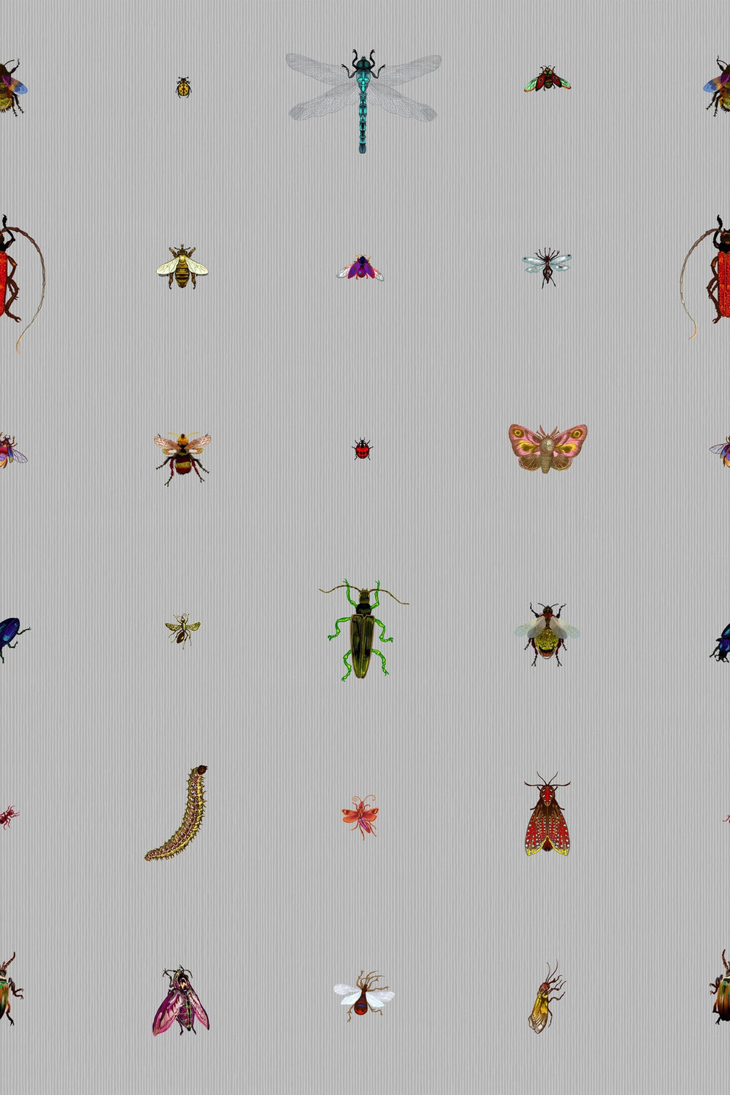 insect grid wallpaper by timorous beasties on adorn.house